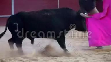 西班牙斗<strong>牛图片</strong>。 黑牛